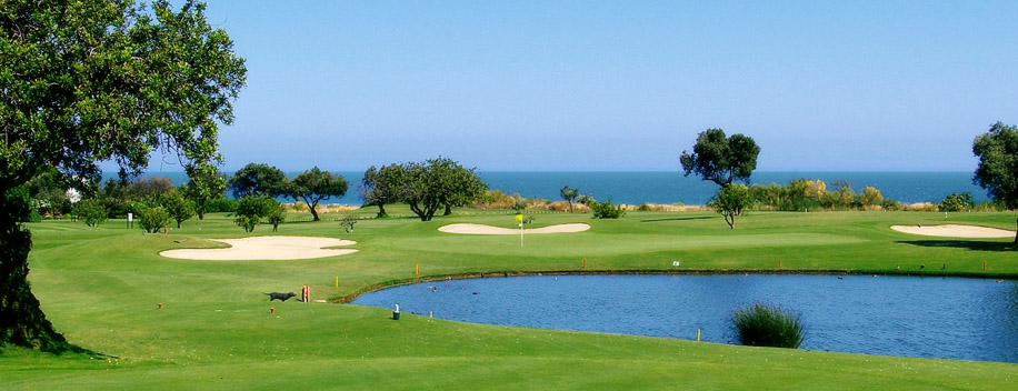 quinta da ria and quinta da cima